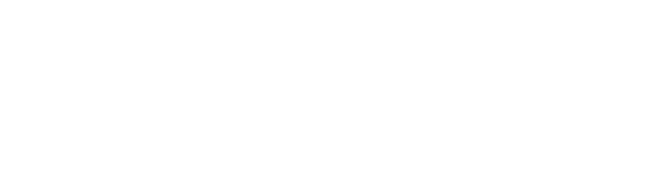 ウェブデザイナー／ハンドメイドかけだし作家　埼玉県・栃木県育ち　東京都在住　Ｏ型　射手座　うさぎをこよなく愛する